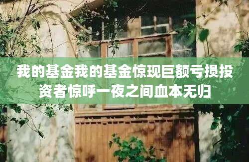 我的基金我的基金惊现巨额亏损投资者惊呼一夜之间血本无归