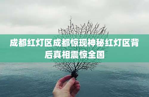成都红灯区成都惊现神秘红灯区背后真相震惊全国