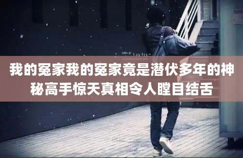我的冤家我的冤家竟是潜伏多年的神秘高手惊天真相令人瞠目结舌