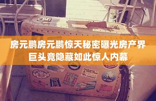 房元鹏房元鹏惊天秘密曝光房产界巨头竟隐藏如此惊人内幕