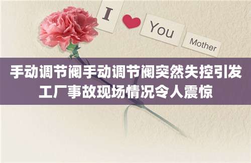 手动调节阀手动调节阀突然失控引发工厂事故现场情况令人震惊
