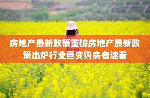 房地产最新政策重磅房地产最新政策出炉行业巨变购房者速看