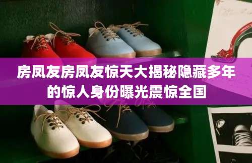 房凤友房凤友惊天大揭秘隐藏多年的惊人身份曝光震惊全国
