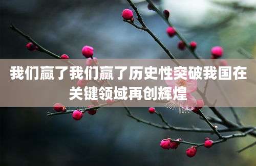 我们赢了我们赢了历史性突破我国在关键领域再创辉煌