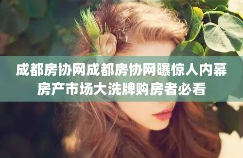 成都房协网成都房协网曝惊人内幕房产市场大洗牌购房者必看
