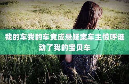 我的车我的车竟成悬疑案车主惊呼谁动了我的宝贝车