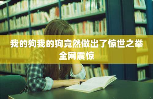 我的狗我的狗竟然做出了惊世之举全网震惊