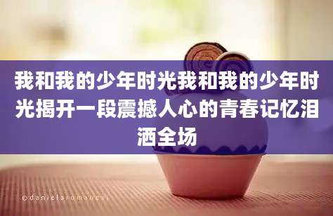 我和我的少年时光我和我的少年时光揭开一段震撼人心的青春记忆泪洒全场