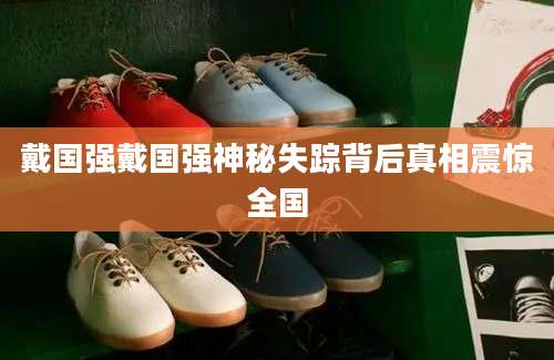 戴国强戴国强神秘失踪背后真相震惊全国