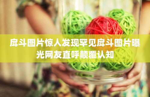 戽斗图片惊人发现罕见戽斗图片曝光网友直呼颠覆认知
