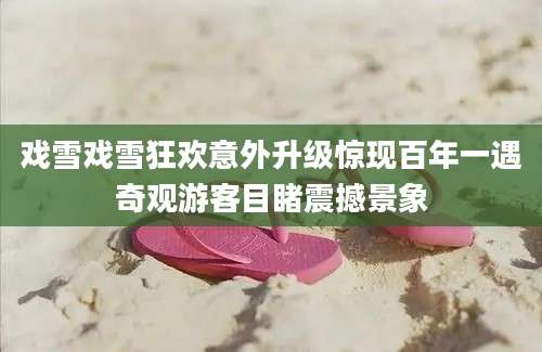戏雪戏雪狂欢意外升级惊现百年一遇奇观游客目睹震撼景象