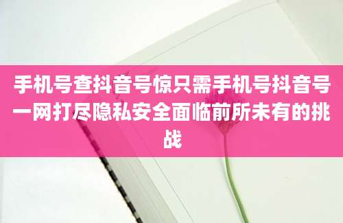 手机号查抖音号惊只需手机号抖音号一网打尽隐私安全面临前所未有的挑战