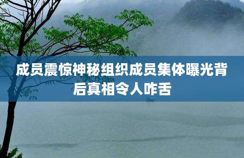 成员震惊神秘组织成员集体曝光背后真相令人咋舌