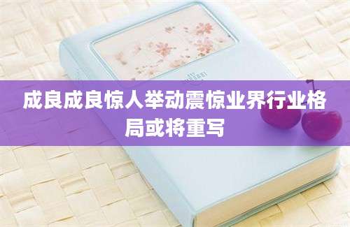 成良成良惊人举动震惊业界行业格局或将重写