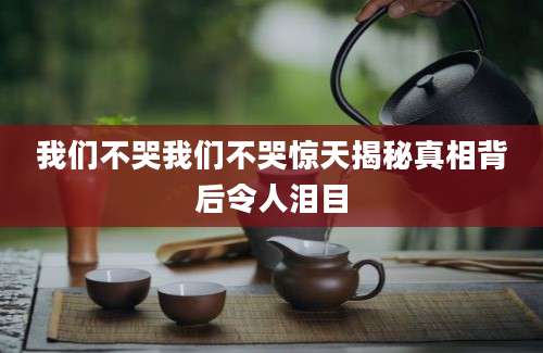 我们不哭我们不哭惊天揭秘真相背后令人泪目