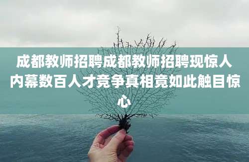 成都教师招聘成都教师招聘现惊人内幕数百人才竞争真相竟如此触目惊心
