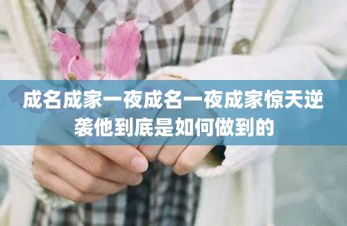 成名成家一夜成名一夜成家惊天逆袭他到底是如何做到的