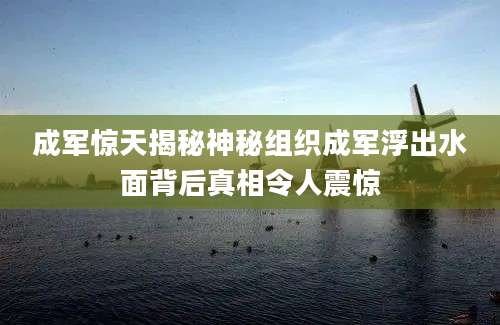 成军惊天揭秘神秘组织成军浮出水面背后真相令人震惊