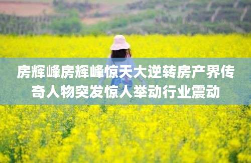房辉峰房辉峰惊天大逆转房产界传奇人物突发惊人举动行业震动