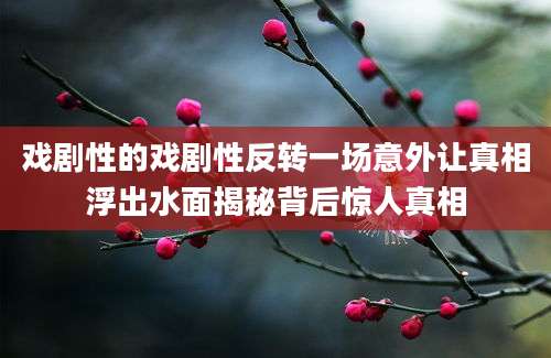 戏剧性的戏剧性反转一场意外让真相浮出水面揭秘背后惊人真相