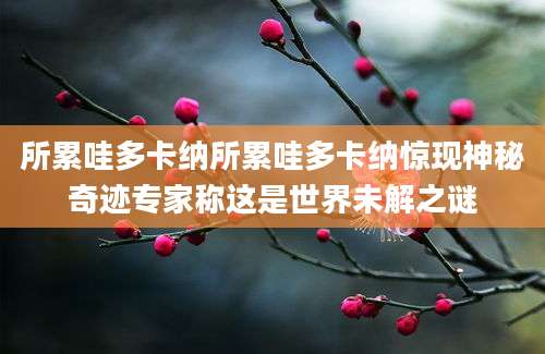 所累哇多卡纳所累哇多卡纳惊现神秘奇迹专家称这是世界未解之谜