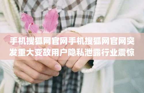 手机搜狐网官网手机搜狐网官网突发重大变故用户隐私泄露行业震惊