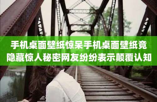 手机桌面壁纸惊呆手机桌面壁纸竟隐藏惊人秘密网友纷纷表示颠覆认知