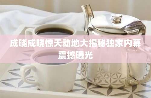 成晓成晓惊天动地大揭秘独家内幕震撼曝光