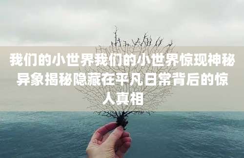 我们的小世界我们的小世界惊现神秘异象揭秘隐藏在平凡日常背后的惊人真相
