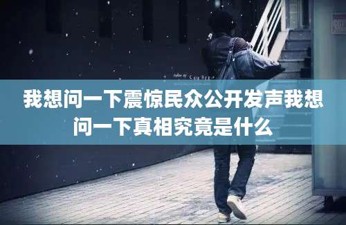 我想问一下震惊民众公开发声我想问一下真相究竟是什么