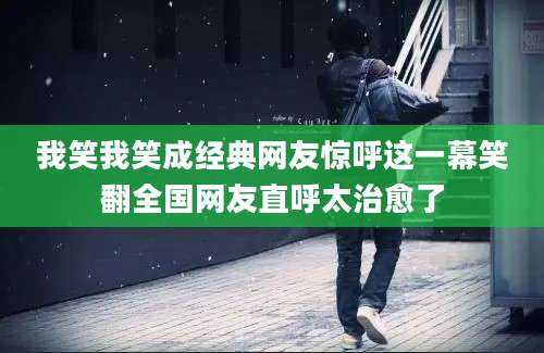 我笑我笑成经典网友惊呼这一幕笑翻全国网友直呼太治愈了