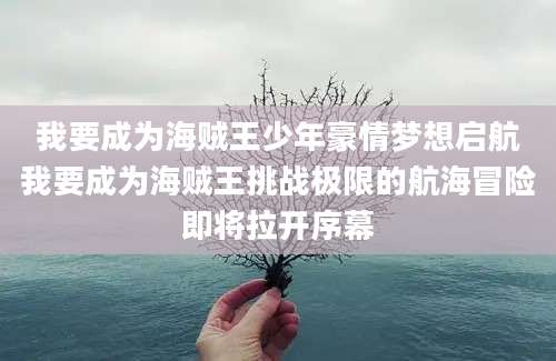 我要成为海贼王少年豪情梦想启航我要成为海贼王挑战极限的航海冒险即将拉开序幕