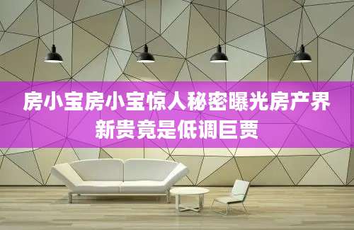 房小宝房小宝惊人秘密曝光房产界新贵竟是低调巨贾