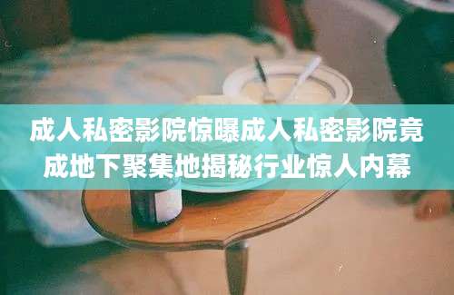 成人私密影院惊曝成人私密影院竟成地下聚集地揭秘行业惊人内幕