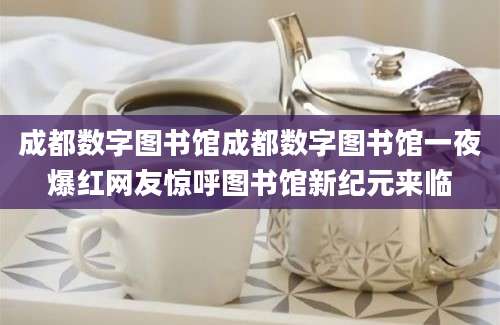 成都数字图书馆成都数字图书馆一夜爆红网友惊呼图书馆新纪元来临