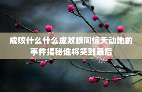 成败什么什么成败瞬间惊天动地的事件揭秘谁将笑到最后