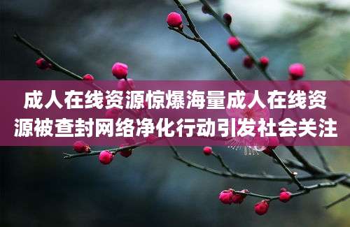 成人在线资源惊爆海量成人在线资源被查封网络净化行动引发社会关注