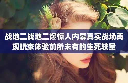 战地二战地二爆惊人内幕真实战场再现玩家体验前所未有的生死较量