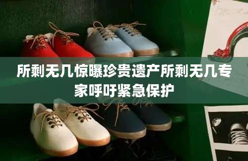 所剩无几惊曝珍贵遗产所剩无几专家呼吁紧急保护