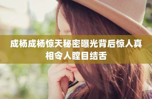 成杨成杨惊天秘密曝光背后惊人真相令人瞠目结舌