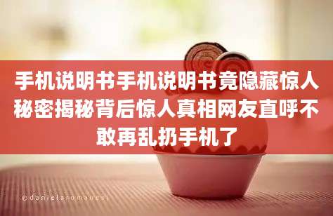 手机说明书手机说明书竟隐藏惊人秘密揭秘背后惊人真相网友直呼不敢再乱扔手机了