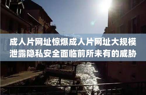 成人片网址惊爆成人片网址大规模泄露隐私安全面临前所未有的威胁