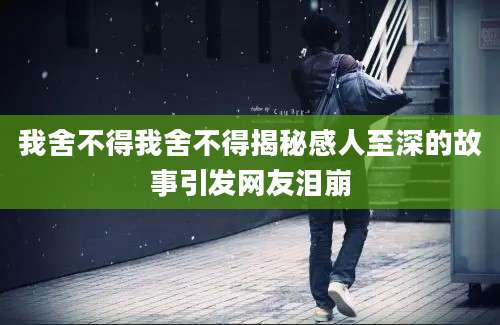 我舍不得我舍不得揭秘感人至深的故事引发网友泪崩