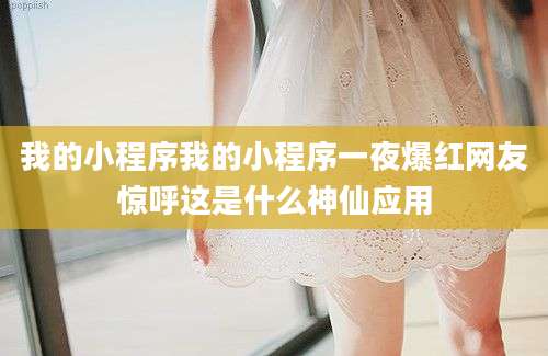 我的小程序我的小程序一夜爆红网友惊呼这是什么神仙应用