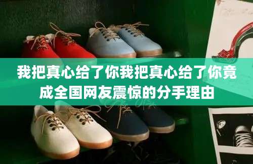 我把真心给了你我把真心给了你竟成全国网友震惊的分手理由