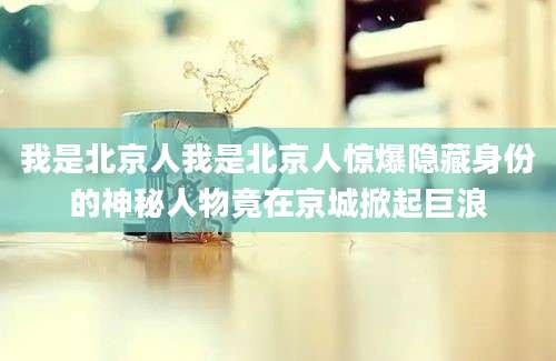 我是北京人我是北京人惊爆隐藏身份的神秘人物竟在京城掀起巨浪