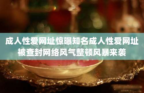 成人性爱网址惊曝知名成人性爱网址被查封网络风气整顿风暴来袭