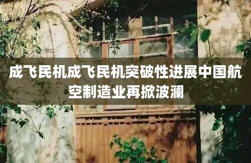 成飞民机成飞民机突破性进展中国航空制造业再掀波澜