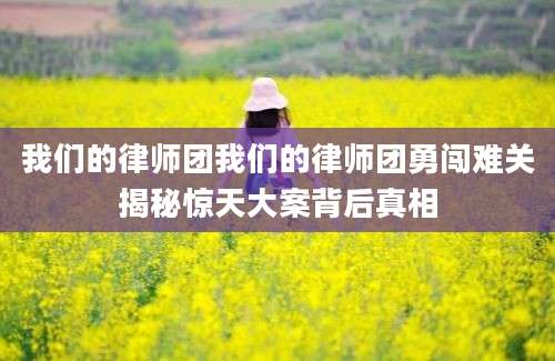 我们的律师团我们的律师团勇闯难关揭秘惊天大案背后真相