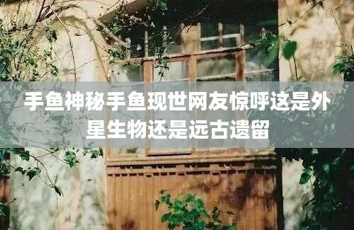 手鱼神秘手鱼现世网友惊呼这是外星生物还是远古遗留